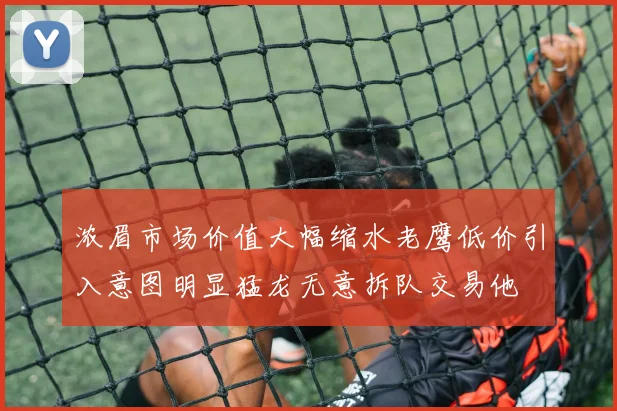 浓眉市场价值大幅缩水老鹰低价引入意图明显猛龙无意拆队交易他